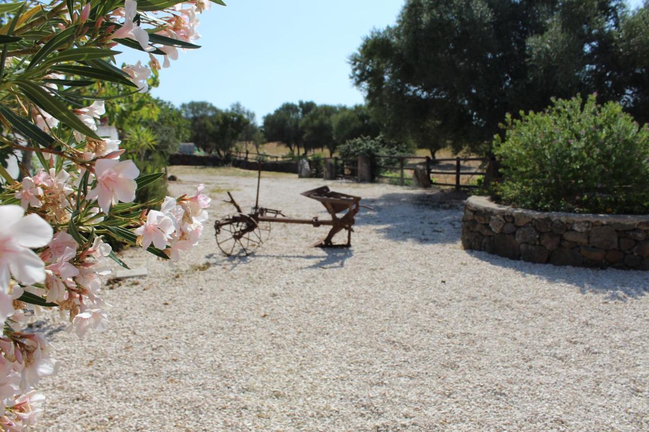 Agriturismo Pira Pinta Acomodação com café da manhã Dorgali Exterior foto