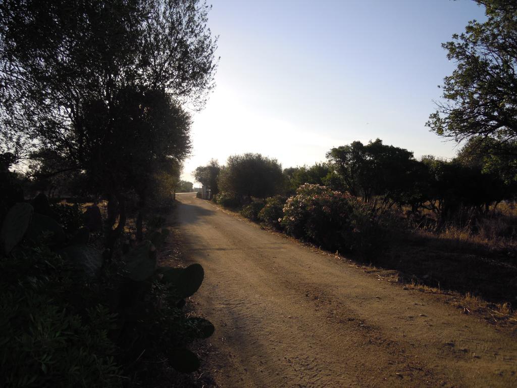 Agriturismo Pira Pinta Dorgali Quarto foto