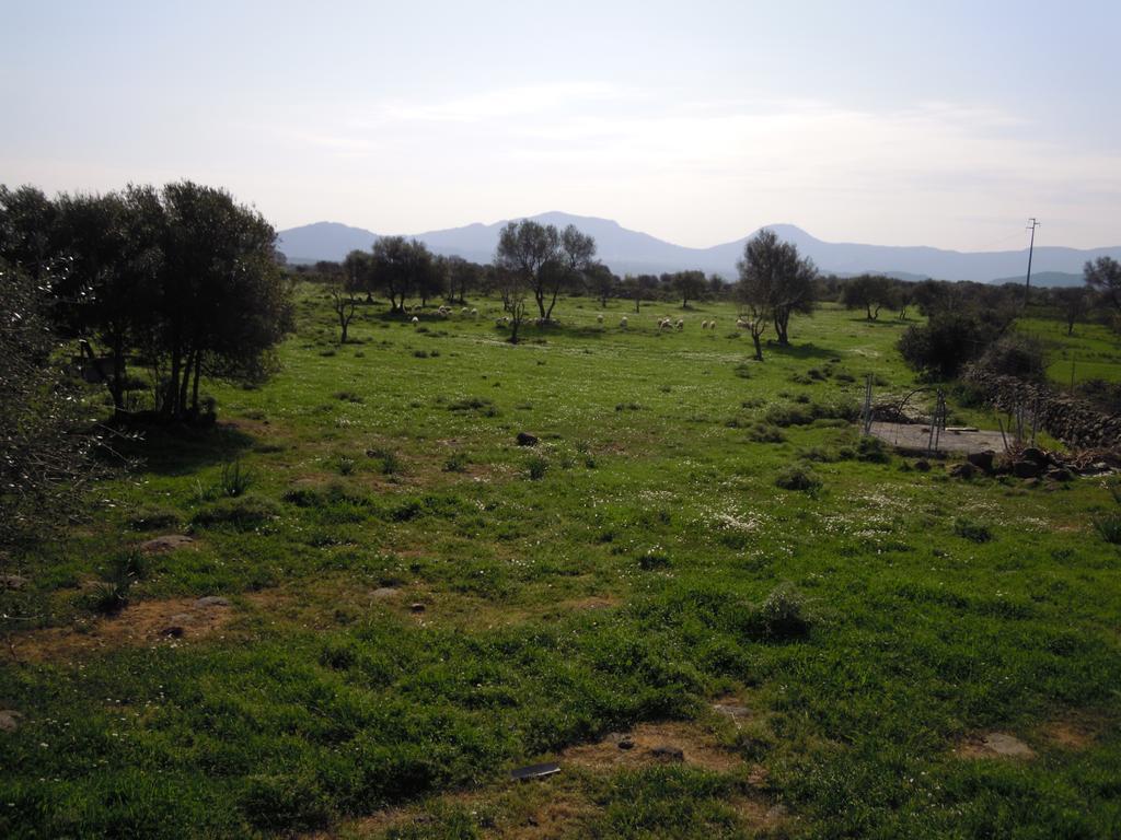 Agriturismo Pira Pinta Acomodação com café da manhã Dorgali Quarto foto