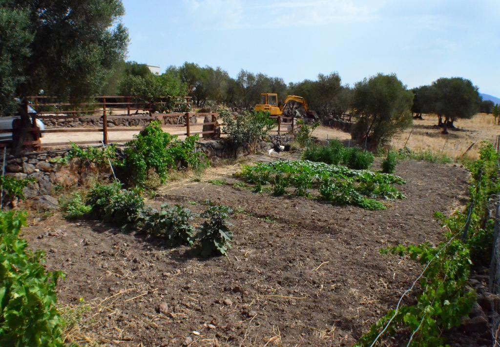 Agriturismo Pira Pinta Acomodação com café da manhã Dorgali Exterior foto