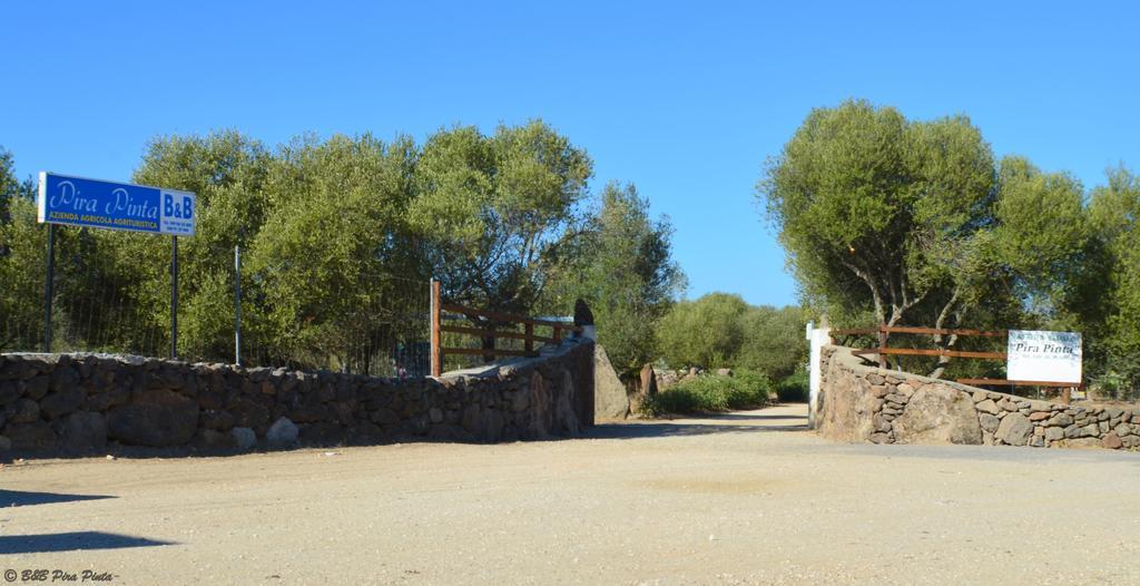 Agriturismo Pira Pinta Dorgali Exterior foto